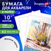 Папка для акварели БОЛЬШАЯ А2, 10л., 200 г/м2, 400х590мм, BRAUBERG АКАДЕМИЯ, "Полевые цветы", 117739 - фото 6603491