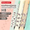 Карандаш чернографитный с принтом кросс-серия МИЛЫЕ КОТЫ, 1 шт., HB, ластик, ассорти, BRAUBERG, 182107 - фото 6694335