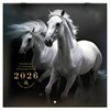 Календарь настенный перекидной 2026 г., BRAUBERG, 12 листов, 28,5х28,5 см, "Символ года", 116928 - фото 6843298