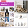 Календарь настенный перекидной 2026 г., BRAUBERG, 12 листов, 28,5х28,5 см, "Милые котики", 116929 - фото 6843709