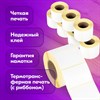 Этикетка термотрансферная ПОЛУГЛЯНЕЦ (58х40 мм), 700 этикеток в ролике, КОМПЛЕКТ 8 шт., 880965 - фото 6843847