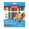 Карандаши цветные ПИФАГОР СТАНДАРТ 24 цвета, трехгранный корпус, 182088 - фото 7023212
