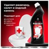 Средство чистящее кислотное для санузлов 750 мл, GRASS WC-GEL PROFESSIONAL, 125535 - фото 7150149
