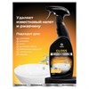 Средство для чистки сантехники кислотное 600 мл, GRASS GLOSS PROFESSIONAL, триггер, 125533 - фото 7150172
