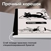 Тетрадь А5 96 л. BRAUBERG, на сшивке с корешком, клетка, обложка картон, "Кот-Непоседа", 405292 - фото 7215879