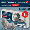 Пластилин скульптурный ТВЕРДЫЙ БЕЛЫЙ "Секреты художника", 1 кг, BRAUBERG ART, 107486 - фото 7739768
