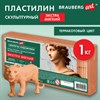 Пластилин скульптурный ЭКСТРА МЯГКИЙ ТЕРРАКОТОВЫЙ "Секреты художника", 1 кг, BRAUBERG ART, 107508 - фото 7739792
