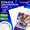 Бумага для акварели А4 в папке, 15 листов, 300 г/м2, среднее зерно, BRAUBERG ART CLASSIC, 116353 - фото 7777798