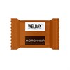 Шоколад порционный WELDAY (ВЭЛДЭЙ), ассорти 6 вкусов, 810 г (54 плитки по 15 г), пакет, 622409 - фото 7826478