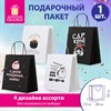 Пакет подарочный (1 штука) 26х13х32см (L) "Funny Mix", ассорти, крафт, ЗОЛОТАЯ СКАЗКА, 700820 - фото 7933846
