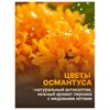 Средство для мытья посуды 450мл AOS "Османтус", ш/к 09432, 1746-3 - фото 8047269