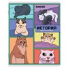 Тетради предметные, КОМПЛЕКТ 12 ПРЕДМЕТОВ, 48 л., TWIN-лак, FUNSTER (ФАНСТЕР), МЕМНЫЕ КОТЫ, 405604 - фото 8311821