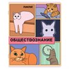 Тетради предметные, КОМПЛЕКТ 12 ПРЕДМЕТОВ, 48 л., TWIN-лак, FUNSTER (ФАНСТЕР), МЕМНЫЕ КОТЫ, 405604 - фото 8311823