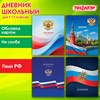Дневник 1-11 класс 40 л., на скобе, ПИФАГОР, обложка картон, МИКС "Российский", 107576 - фото 8554808