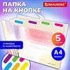 Папка-органайзер на кнопке 5 отделений, BRAUBERG "Extra", А4, пастельные узоры, 274100 - фото 8610115