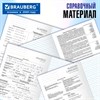 Тетради предметные, КОМПЛЕКТ 12 ПРЕДМЕТОВ, 48 л., матовая ламинация, BRAUBERG, "ПРИРОДА", 405606 - фото 8637578