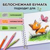 Альбом для рисования, пластиковая обложка, А4, 40 л., гребень, FUNSTER (ФАНСТЕР), 210х297 мм, АССОРТИ (8 видов), 107684 - фото 8645152