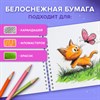 Альбом для рисования, пластиковая обложка, А4, 40 л., гребень, BRAUBERG, 210х297 мм, АССОРТИ-2 (8 видов), 107683 - фото 8645154