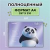 Альбом для рисования, пластиковая обложка, А4, 40 л., гребень, FUNSTER (ФАНСТЕР), 210х297 мм, АССОРТИ (8 видов), 107684 - фото 8645158