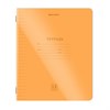 Тетрадь пластиковая обложка (НЕОН) 12 листов, линия, BRAUBERG "Smart Cover", АССОРТИ (микс в спайке), 405026 - фото 8645195