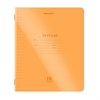 Тетрадь пластиковая обложка (НЕОН) 18 листов, линия, BRAUBERG "Smart Cover", АССОРТИ (микс в спайке), 405033 - фото 8645217