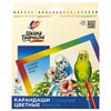 Карандаши цветные ЛУЧ "Школа Творчества", 24 цвета, трехгранные, натуральное дерево, 30С 1808-08 - фото 8889590