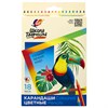 Карандаши цветные ЛУЧ "Школа Творчества", 18 цветов, трехгранные, натуральное дерево, 30С 1807-08 - фото 8889592