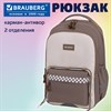 Рюкзак BRAUBERG STYLE, 2 отделения, 4 кармана, "Brown checks", коричневый, 40х26х15 см, 274412 - фото 9295821