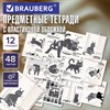 Тетради предметные, КОМПЛЕКТ 12 ПРЕДМЕТОВ 48л, пластиковая обложка, BRAUBERG "КОТ-НЕПОСЕДА", 405542 - фото 9296202