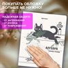 Тетради предметные, КОМПЛЕКТ 12 ПРЕДМЕТОВ 48л, пластиковая обложка, BRAUBERG "КОТ-НЕПОСЕДА", 405542 - фото 9296218