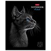 Тетрадь А5 48л. HATBER скоба, клетка, матовая ламинация, 3D лак, Black Cat (микс в сп, 48Т5лолВ1 - фото 9457275