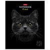 Тетрадь А5 48л. HATBER скоба, клетка, матовая ламинация, 3D лак, Black Cat (микс в сп, 48Т5лолВ1 - фото 9457294
