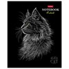 Тетрадь А5 48л. HATBER скоба, клетка, матовая ламинация, 3D лак, Black Cat (микс в сп, 48Т5лолВ1 - фото 9457314