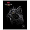 Тетрадь А5 48л. HATBER скоба, клетка, матовая ламинация, 3D лак, Black Cat (микс в сп, 48Т5лолВ1 - фото 9457328