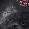 Тетрадь А5 48л. HATBER скоба, клетка, матовая ламинация, 3D лак, Black Cat (микс в сп, 48Т5лолВ1 - фото 9457364