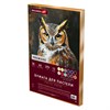 Бумага для пастели ФАКТУРНАЯ А3 в коробке, 36 листов 12 цветов, 270 г/м2, BRAUBERG AR, 117760 - фото 9463184