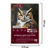 Бумага для пастели ФАКТУРНАЯ А4 в коробке, 36 листов 12 цветов, 270 г/м2, BRAUBERG AR, 117759 - фото 9463199