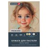 Бумага для пастели АБРАЗИВНАЯ А4 в папке, 20 листов 5 цветов, 240 г/м2, BRAUBERG ART, 117763 - фото 9471652