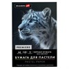 Бумага для пастели АБРАЗИВНАЯ А4 в папке, 15 листов, ЧЕРНАЯ, 240 г/м2, BRAUBERG ART, 117765 - фото 9471654