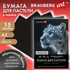 Бумага для пастели АБРАЗИВНАЯ А3 в папке, 15 листов, ЧЕРНАЯ, 240 г/м2, BRAUBERG ART, 117766 - фото 9471670
