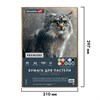 Бумага для пастели АБРАЗИВНАЯ А4 в коробке, 40 листов 8 цветов, 240 г/м2, BRAUBERG AR, 117767 - фото 9471671