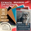 Бумага для пастели АБРАЗИВНАЯ А3 в коробке, 40 листов 8 цветов, 240 г/м2, BRAUBERG AR, 117768 - фото 9471681
