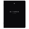 Тетради предметные, КОМПЛЕКТ 12 ПРЕДМЕТОВ, 48 л., Soft-Touch, 3D-фольга, BRAUBERG, "BLACK GOLD", 405602 - фото 9537116