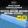 Простыня одноразовая голубая рулонная с перфорацией, 100 шт., ЭКОНОМ, 70х180 см, СМС, 12 г/м2, WBZ (ВБЗ), 631702 - фото 9797657