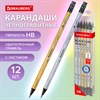 Набор карандашей чернографитных BRAUBERG "SILVER/GOLD", 12 штук, HB, с ластиком, корпус ассорти, 182033 - фото 9866779