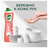 Средство для мытья посуды 500 мл СИФ "Красный апельсин и эвкалипт", гель - фото 9921725